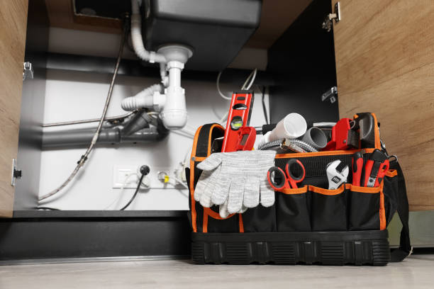  Prospect Heights, IL Plumbing Pros