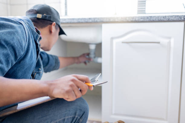 Best Commercial Plumbing Services  in Prospect Heights, IL