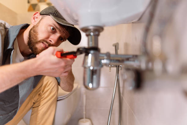 Best Shower Repair Services  in Prospect Heights, IL