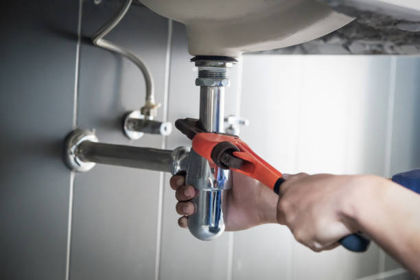 Best Local Plumber Services  in Prospect Heights, IL