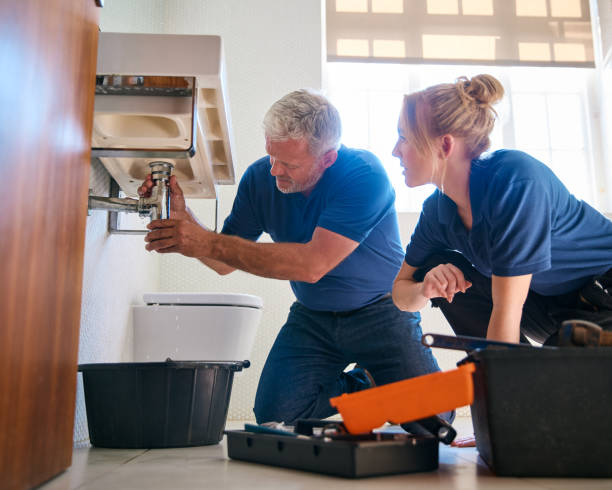 Best Drain Cleaning Services  in Prospect Heights, IL