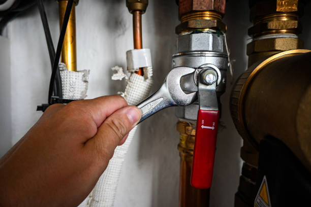 Best Residential Plumbing Services  in Prospect Heights, IL